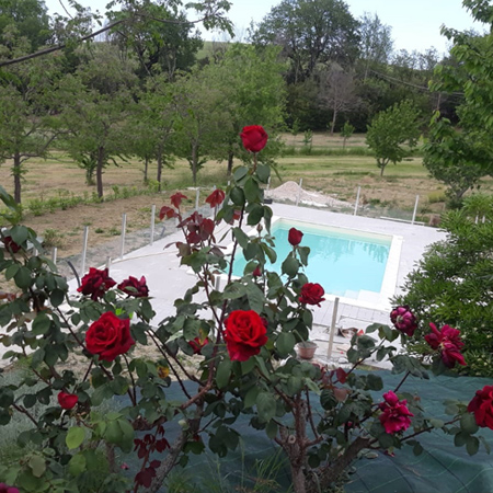 piscina1 agriturismo con piscina a Senigallia